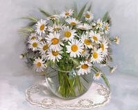 Без бренда «Букет ромашек с колосками в круглой вазе_» в Брянске 