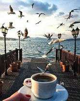 Без бренда «Кофе с видом на чаек» в Брянске 