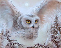 Без бренда «2KMB-3848» в Брянске 