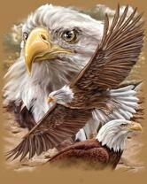 Без бренда «2KMB-4315» в Брянске 