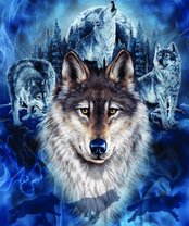 Без бренда «2KXSB-0687» в Брянске 