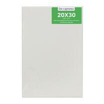 Без бренда «Коробка 80 шт.: Холст Две картинки на подрамнике 20X30» в Брянске 