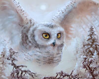 Без бренда «Полярная сова над лесом (20шт)» в Брянске 