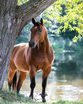 Без бренда «BOX20-2KMB-4594» в Брянске 