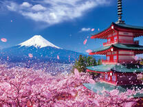 Без бренда «BOX20-2KSB-7277» в Брянске 