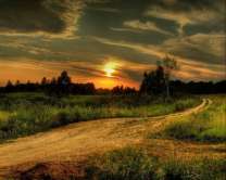 Без бренда «Проселочная дорога на закате» в Брянске 