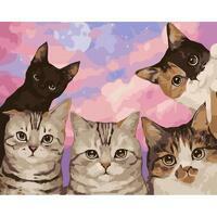 Без бренда «Такие разные котики» в Брянске  в интернет-магазине  Без бренда «Такие разные котики» в Брянске