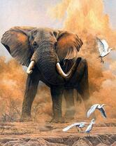 Африканский слон в саванне