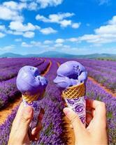Лавандовое мороженное на фоне поя лаванды