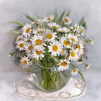 Без бренда «Букет свежих ромашек» в Брянске 