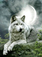 Без бренда «Коробка 25 шт. картин по номерам BOX25-GX21058» в Брянске 