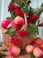 Без бренда «Коробка 25 шт. картин по номерам BOX25-GX5174» в Брянске 