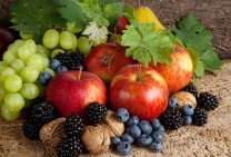 Без бренда «Фрукты, ягоды и орехи» в Брянске 