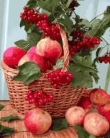 Без бренда «Плетёная корзина с калиной и яблоками» в Брянске 