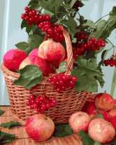 Без бренда «Плетёная корзина с калиной и яблоками» в Брянске в интернет-магазине  Без бренда «Плетёная корзина с калиной и яблоками» в Брянске