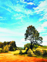 Без бренда «Осенний пейзаж с голубым небом» в Брянске 