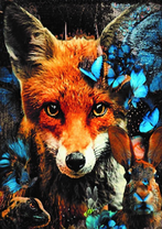 Без бренда «Лиса и синие бабочки» в Брянске 