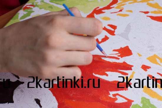 Картина по номерам 40x50 GX34278 Милая девочка и бабочки за 440 руб.  в интернет-магазине  Картина по номерам 40x50 Милая девочка и бабочки